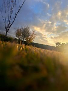 Villa Deluxe Au Pied de lAtlas Béni Mellal