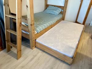 Le Paquebot des Neiges