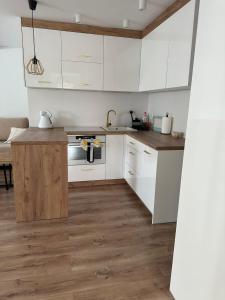 Apartament przyjazny pod Dzikowcem
