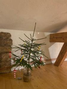 Cesis city apartment