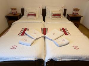 Casa Dacică - Rasnov Central - Free Parking - Close to Bran, Brasov, Dino Park & Restaurants