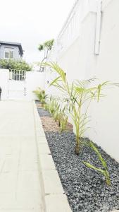 HMT Luxury Holiday Apartment