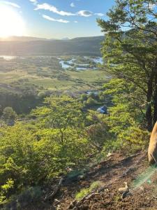 Cabaña Mirador del águila