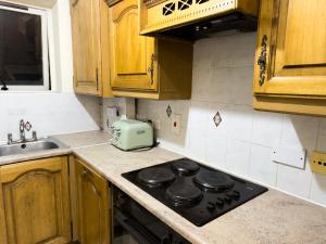 2 bedroom apartment with River view near London Excel O2arena IFS cloud cable car