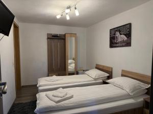 Casa Lupilor Transfăgărășan