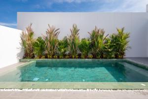 Phuket Tropical Pool Villa