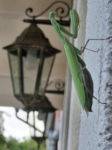 Vagabund Vendégház