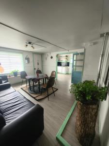 Magic House Patagonia