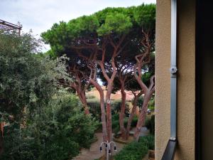 Punta Ala Monolocale 4 Posti L