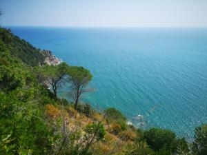 Punta Ala Monolocale 4 Posti L