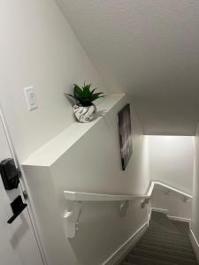 cozy basement suite with 1-bed, wi-fi & Neflix