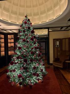 Nala B&B friendly con Posto Auto