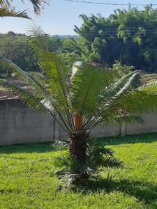 Casa Amarela Ecoloft Brasil 88