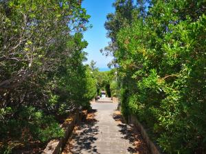 Punta Ala Bilocale 5 Posti A