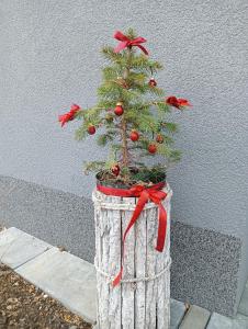 Apartamenty Okrętowa 23 Bolek Lolek