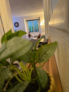 Versailles St Louis - Cosy lit queen à 5min du château