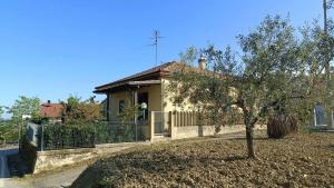 Promo Natale - Hanami Garden House - A due passi dal centro