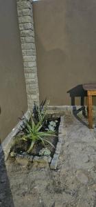 Tasha Coastal Accommodation