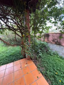 Muriqui piscina e cachoeira