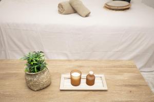 Studio cosy - arènes, centre-ville, proche gare