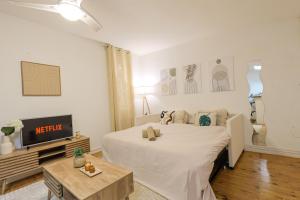 Studio cosy - arènes, centre-ville, proche gare