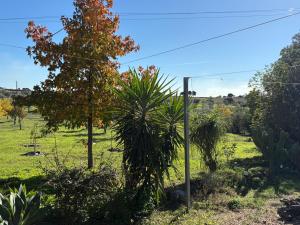 Monte da Palmeira Feedme Farm