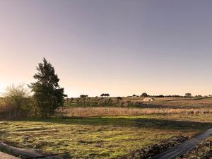 Monte da Palmeira Feedme Farm