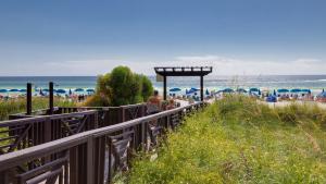 Shores of Panama 2212 | Sea You Soon