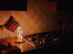 Il Glicine di Marco Polo