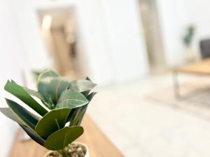 TheWICKI 1703 - Wunderschöne Apartments in Wien