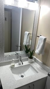 Cozy Ground-Floor Room with Private Bath and Separate Entry