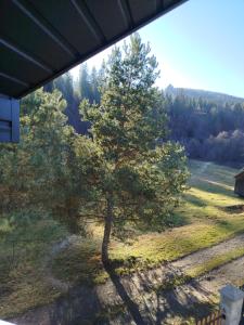 Дім Співучої Ріки