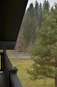 Дім Співучої Ріки