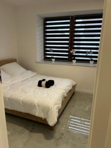 Apartament Ostrowiec Świętokrzyski