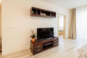 BNB Apartment Pod Vinicou with balcony