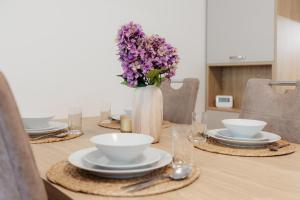 BNB Apartment Pod Vinicou with balcony