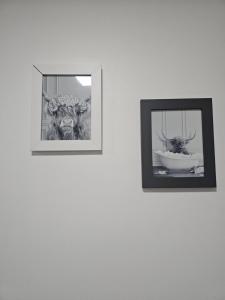 Serviced Apartment - Aberdeen