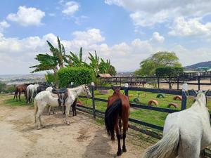 Monte Castelo Flat Temporada