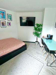 Calm and Cozy Apartment