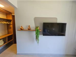 Alma de Sal Absolute