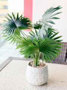 Direct Story Bridge Views - Sleeps 6 - Parking - Resort