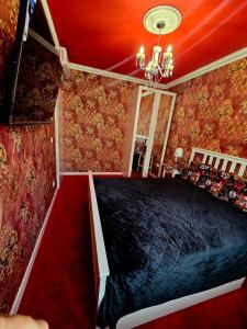 EVITA Apartman 0101 - 1231