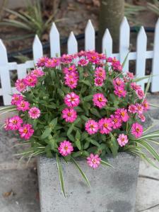 Khách Sạn LaMere Bến Tre