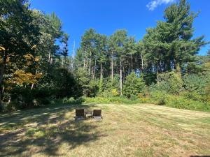 Cozy en suite with high ceilings
