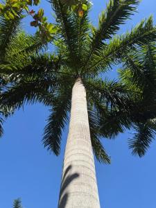 Las Palmas