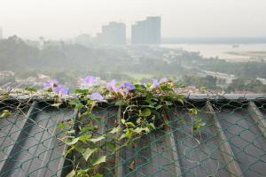 Penthouse with rooftop garden #no service fee