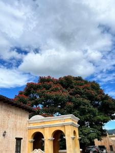Antigua Encantó Colonial