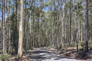 613 Tathra Bermagui Road, Nelson