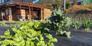 霧の工坊 Kiri no Kōbō - Entire House with Breakfast