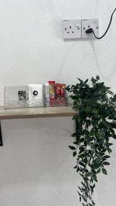 Trong Roomstays